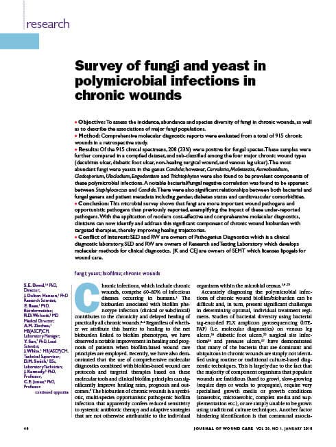 Survey of Fungi and Yeast in Polymicrobial Infections in Chronic Wounds